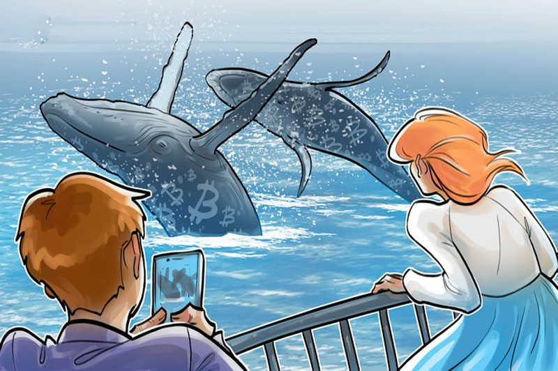 巨鲸单月净减持14.7万枚BTC，比特币能否守住10万美元关口？