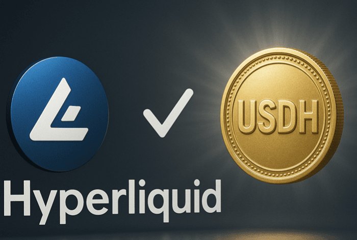 USDH发行权争夺战：六大巨头谁能主导Hyperliquid原生稳定币？