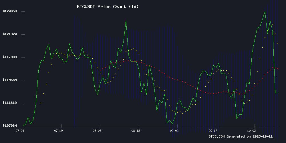 BTC市场数据分析图