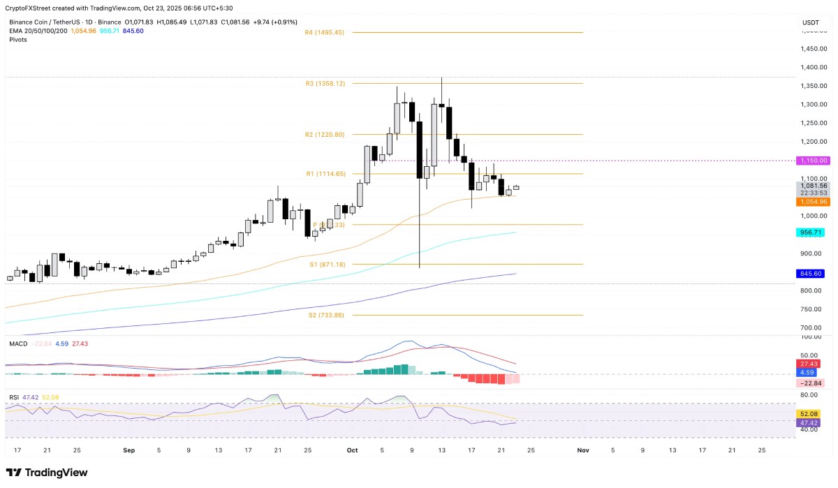 BNB 从 50 日 EMA 反弹但指标分歧