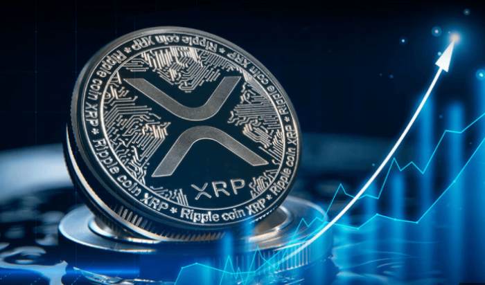 XRP价格预测