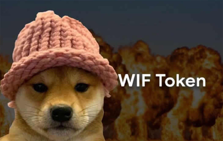 Dogwifhat (WIF)币是什么?从迷因到数十亿美元的市值:代币经济学、风险介绍