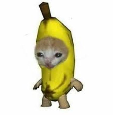 什么是香蕉猫Meme币(BCT)?BCT代币经济学、购买流程