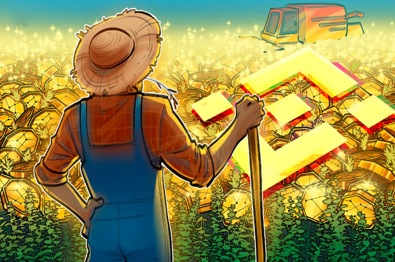 币安（Binance）人生造富秀 是财富奇迹还是风险陷阱？