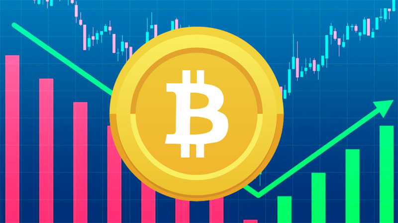 为何比特币昨天暴涨?大型鲸鱼投资者持续购BTC