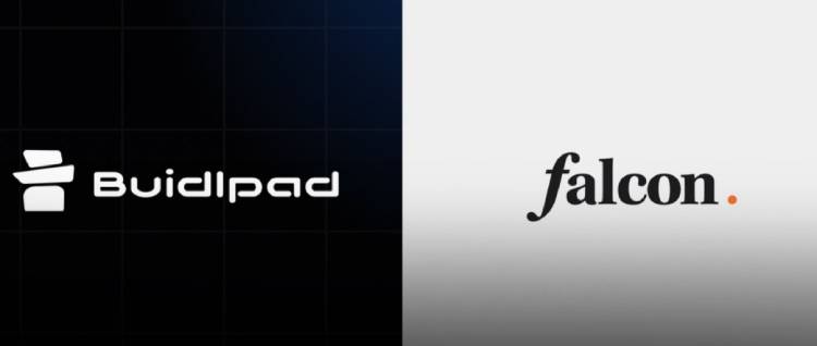 Falcon Finance(FF)代币详解：项目背景、核心机制及社区认购全指南