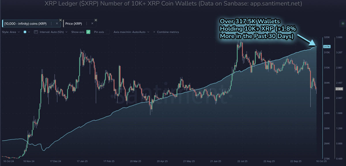 XRP巨鲸创新高,3美元在望