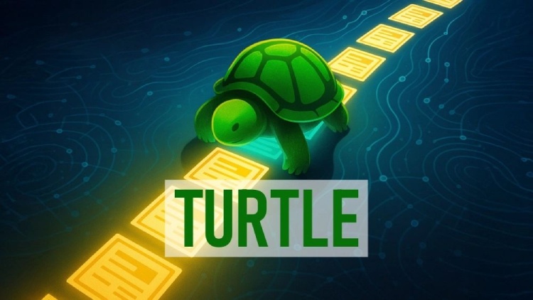 TURTLE币全面介绍