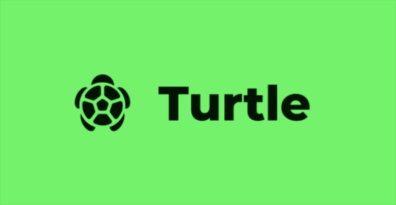 海龟币(TURTLE)2025-2030价格展望：能否复制百倍神话？