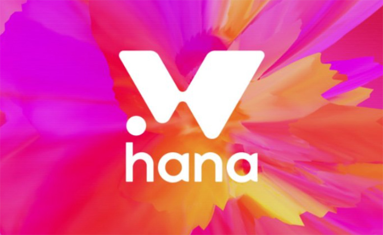 Hana Network(HANA)币是什么?社交代币HANA 价格预测、市场前景分析
