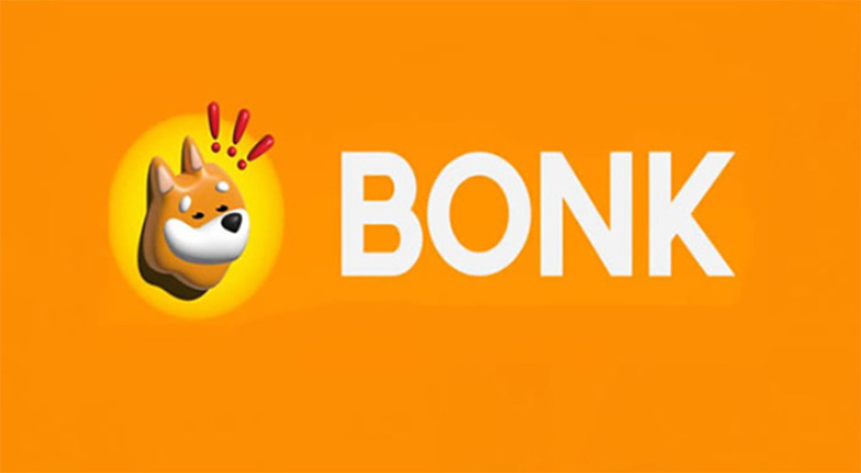 BONK币深度解析：起源、独特机制与未来价格走势展望