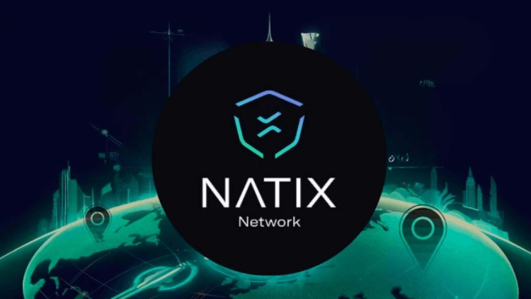 NATIX Network（NATIX）币