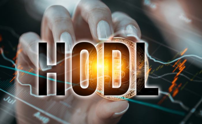解密HODL：从拼写错误到加密货币信仰的金融文化演变