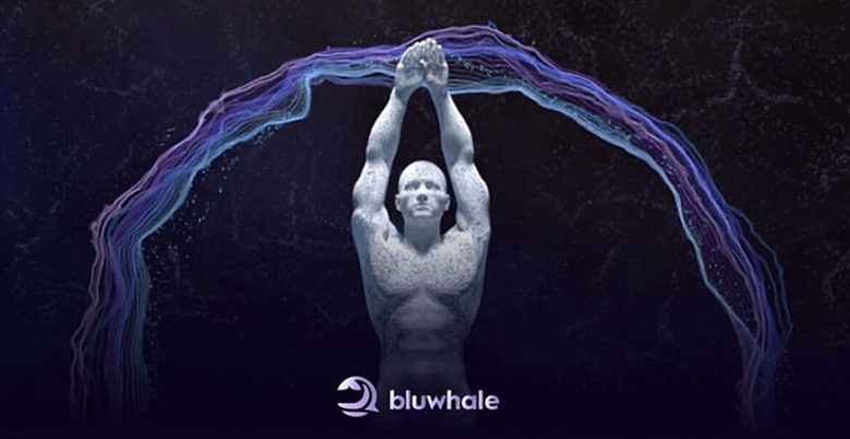 深度解析币安Alpha新宠Bluwhale：重塑Web3数据资产化
