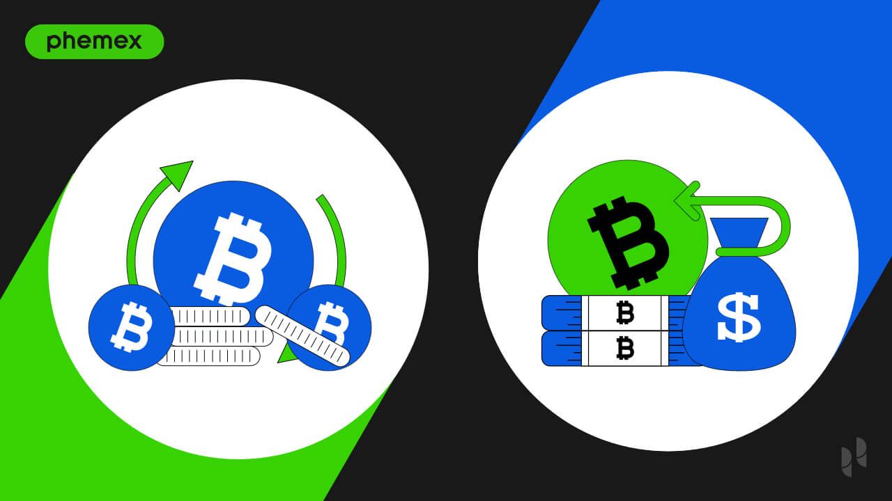 比特币与比特币现金：数字黄金与电子现金的路径分野