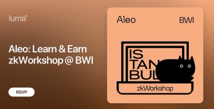 Aleo(ALEO)币介绍