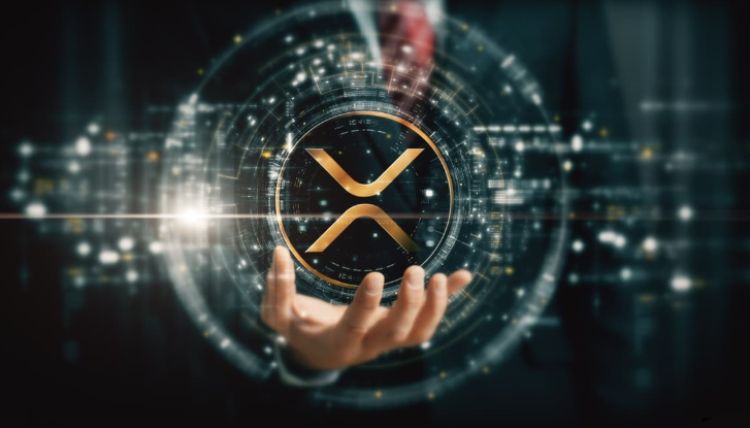 XRP筹码分布介绍