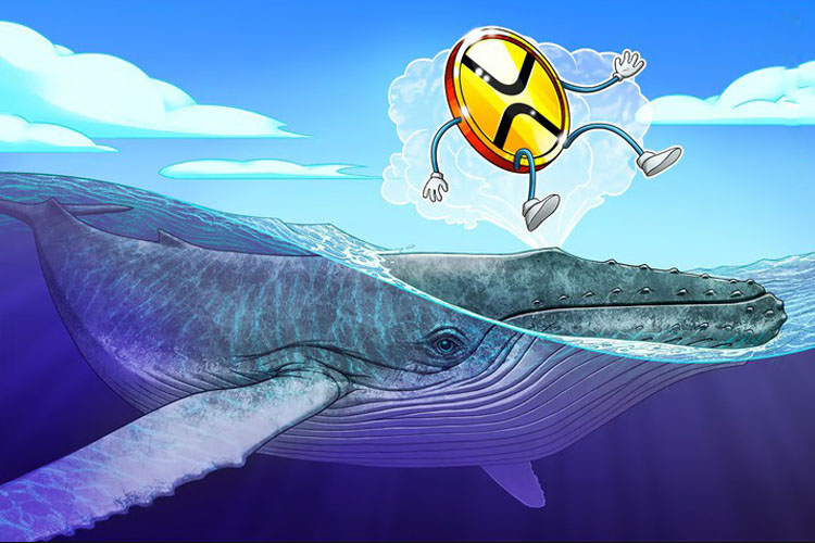 XRP巨鲸日均套现5000万美元，跌破关键位或致崩盘