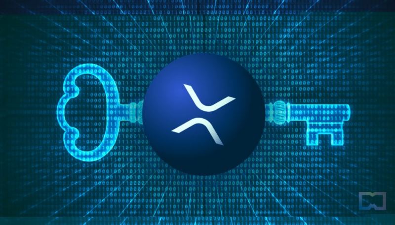 2025年XRP冷钱包完全指南：为何专属硬件存储至关重要？
