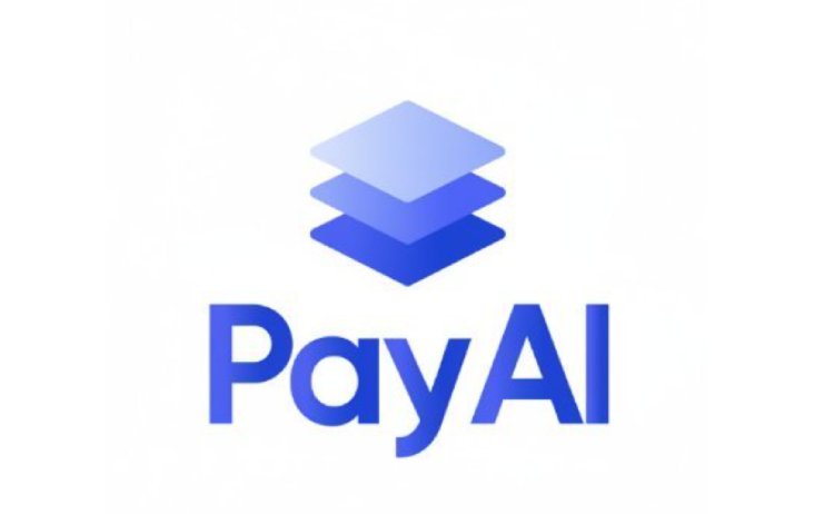 PAYAI币全面介绍