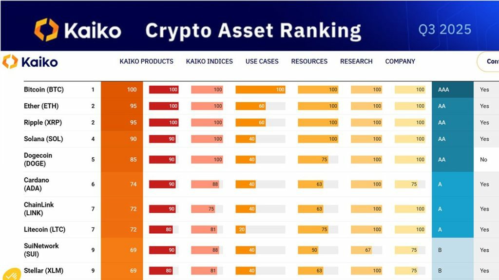XRP潜力第二超Solana和DOGE