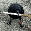 Crow with Knife (CAW)深度解析：全链模因币的机遇与价格展望