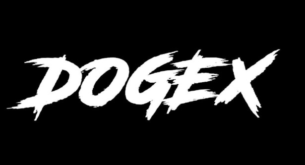 DOGEX迷因币解析：代币模型、市场表现及2025年价格走势展望