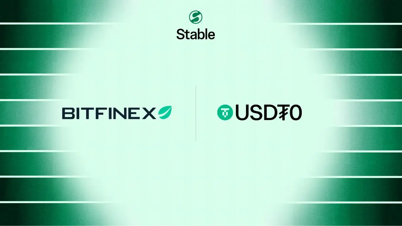 Stable公链深度解析：Tether亲儿子USDT专用链如何参与？