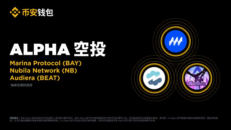 Nubila Network(NB)币全面介绍