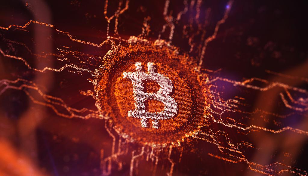 新手必读：加密货币交易实战指南与避坑策略