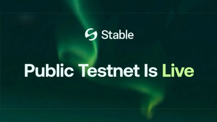 Stable空投参与教学