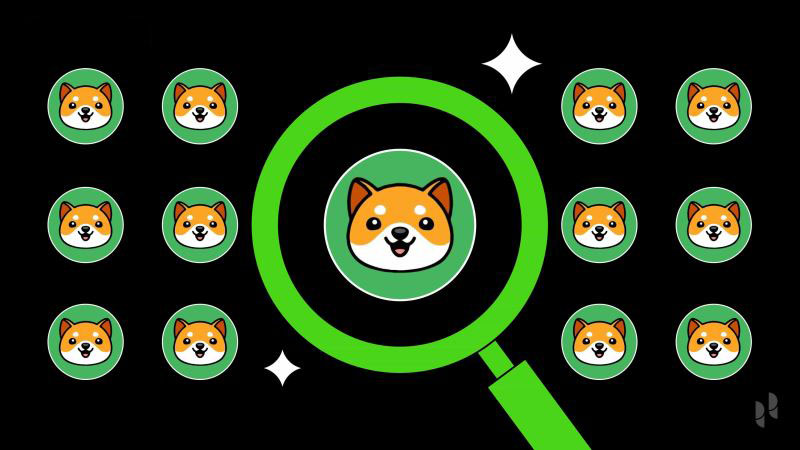 Baby Doge Coin(BabyDoge)币详细介绍