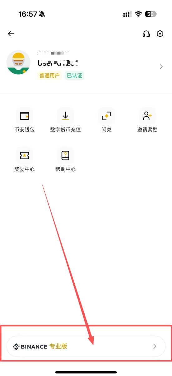 币安简易版跟专业版的区别