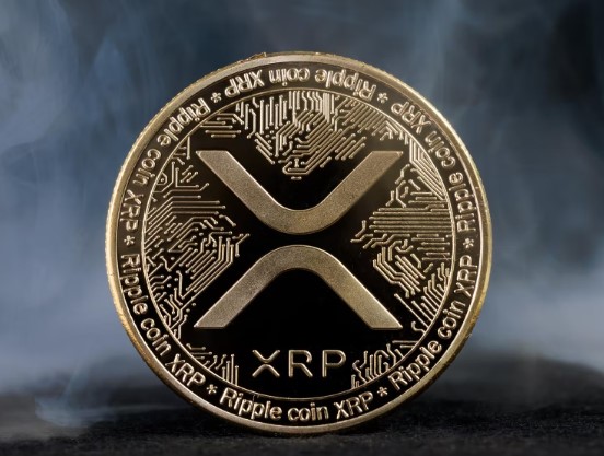 xrp是什么币？xrp代币经济学与未来介绍？