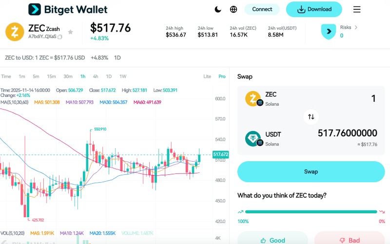 Zcash(ZEC)币价格预测