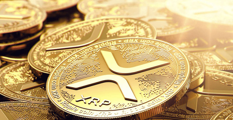 ‌XRP现货ETF获准上市，机构投资者加速入场