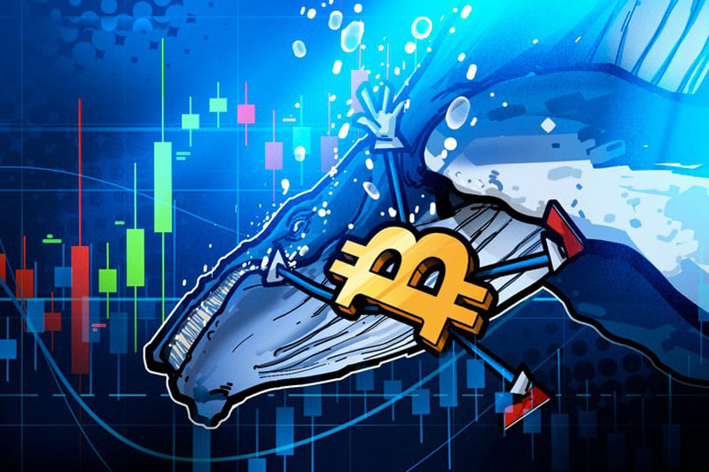 Mt. Gox 时隔 8 个月再次转移 9.53 亿美元的比特币(BTC),引发市场担忧
