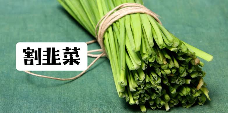 虚拟货币韭菜特征及避免被割方法