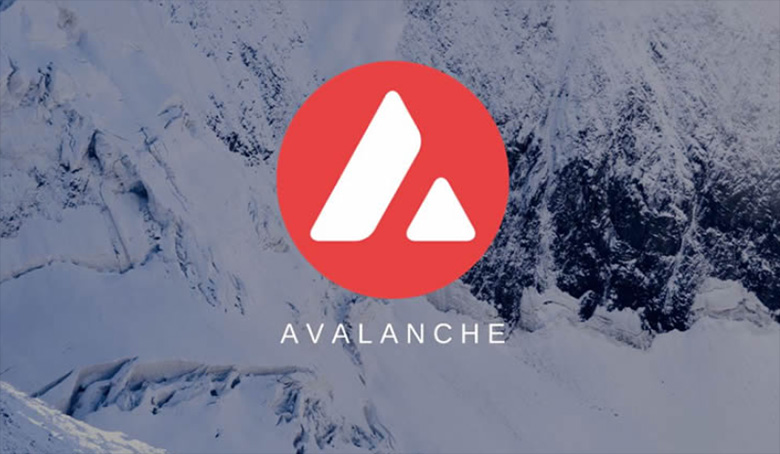 AVAX 币是什么?在币安怎么买?未来发展如何?雪崩币全解析