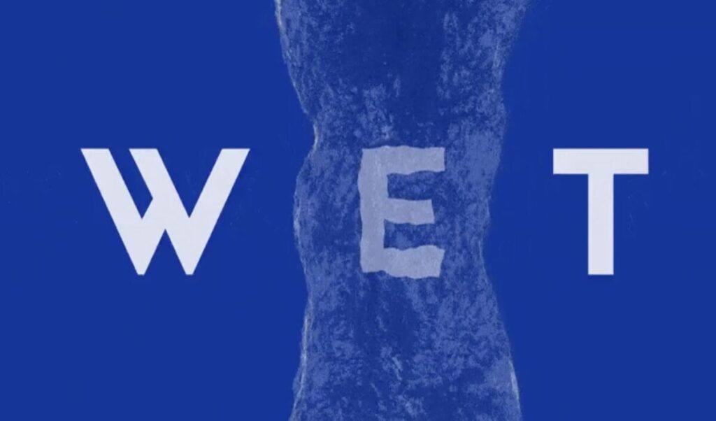 深度解析HumidiFi（WET）：代币机制、价格展望及OKX购买指南
