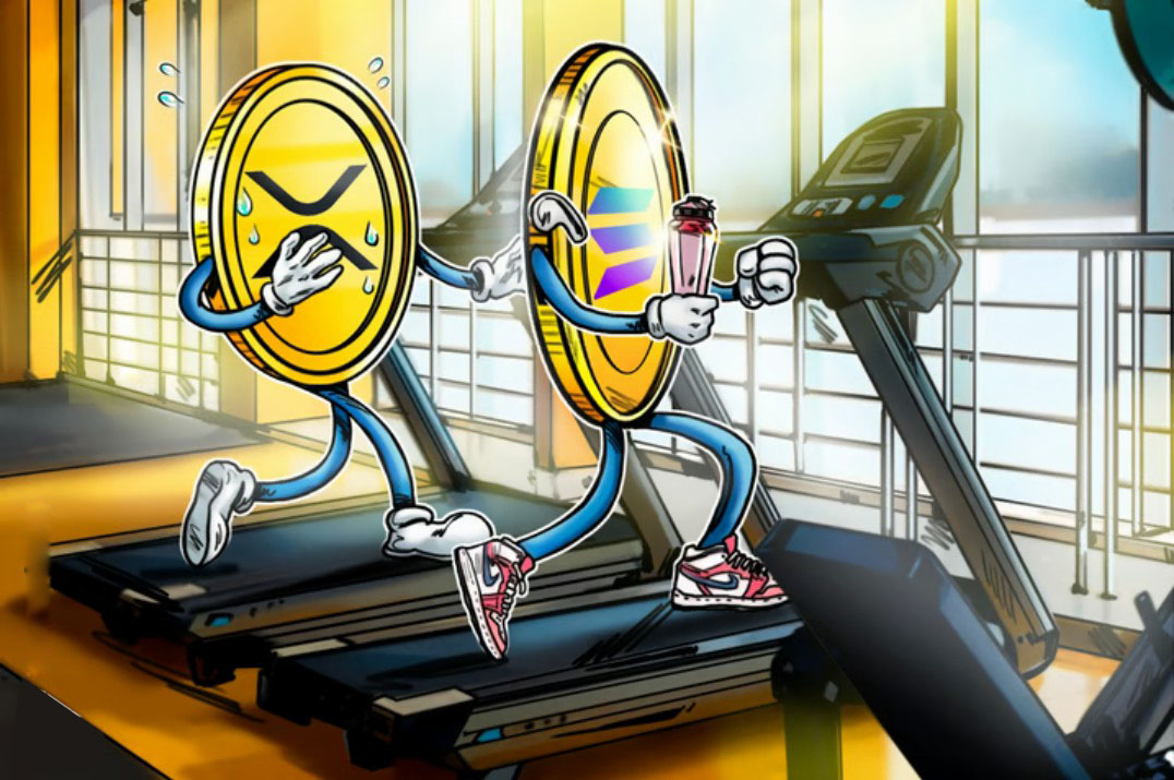 Ripple高管表示:瑞波币(XRP)需要采取类似 索拉纳币(Sol)的战略才能跟上步伐
