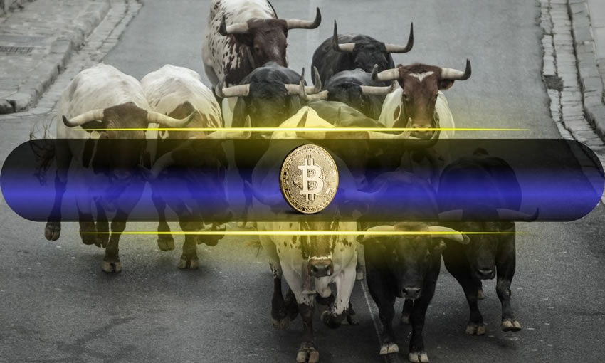 比特币重回 9.3 万美元，看涨情绪回归