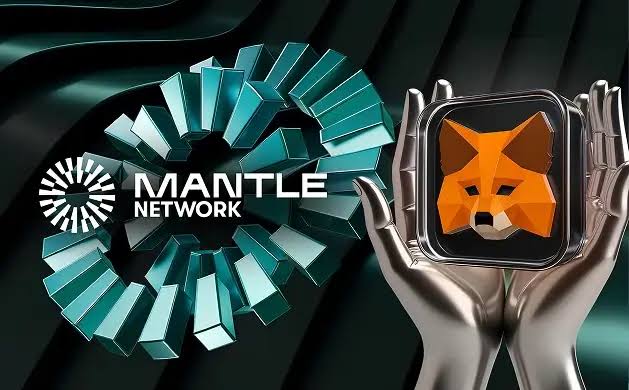 MetaMask配置StableChain指南：主网与测试网详细步骤