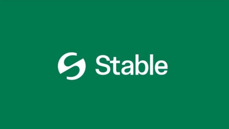 Stable前景分析