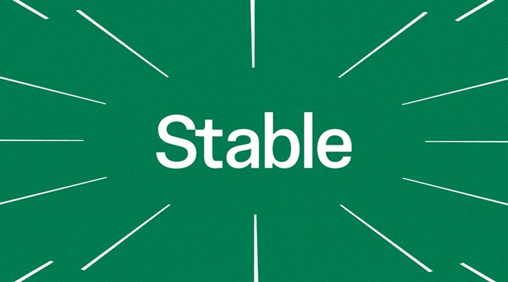 Stable币深度解析：USDT Gas机制、融资背景与代币经济模型