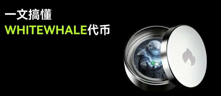 WHITEWHALE深度解析：价格异动背后的投机逻辑与风险