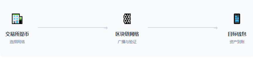 TRC20、ERC20与BEP20深度对比：新手转账如何避开坑并节省手续费？