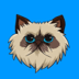 Mr. Miggles (MIGGLES) 深度解析：Base链Meme币现状、数据透视与投资风险提示