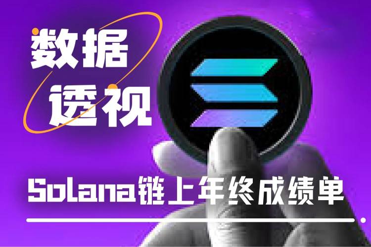 Solana链上年终复盘：生态收入拆解与商业模式洞察