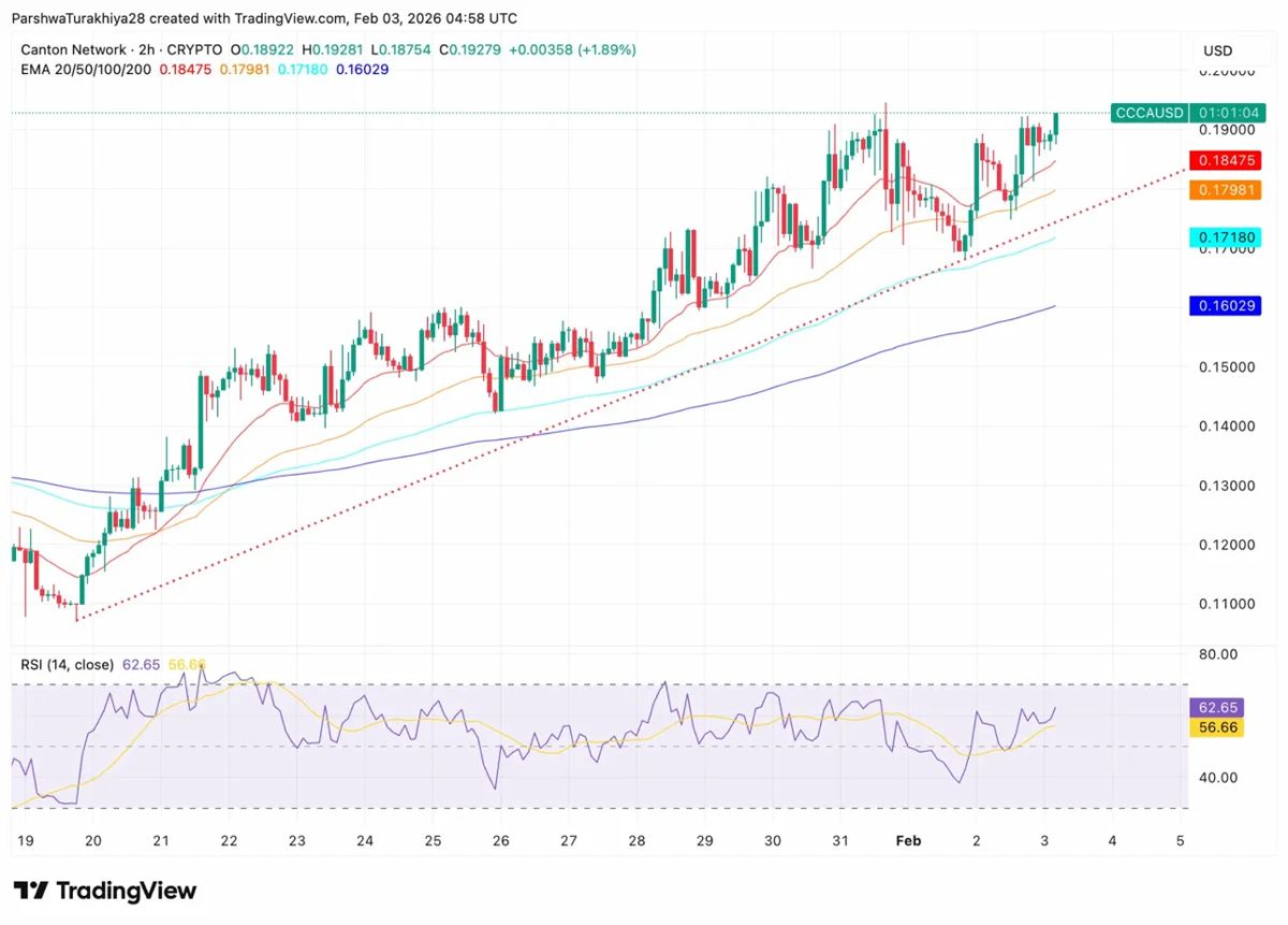 广州物价预测：机构资金消耗推动通缩，CC价格飙升75% 2026.2.3_图3